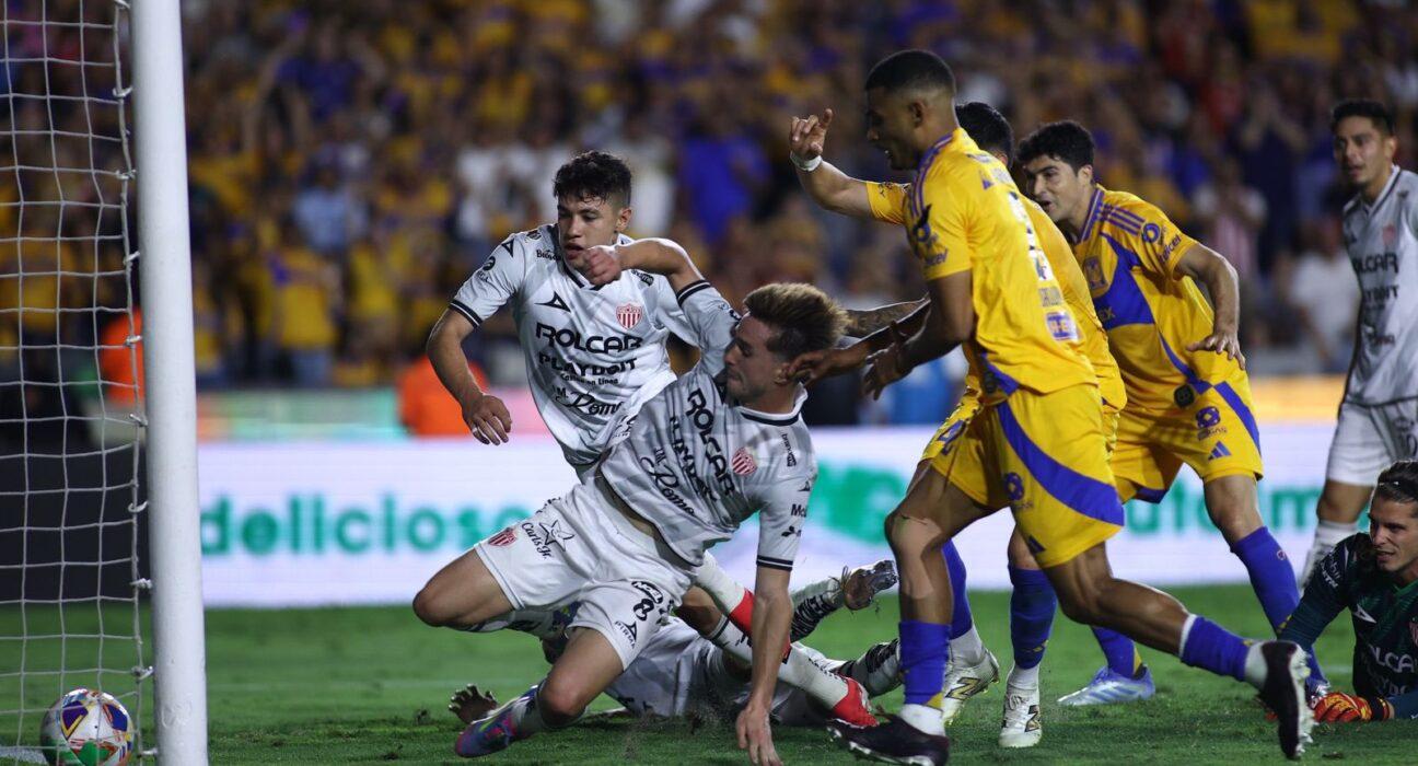 Tigres